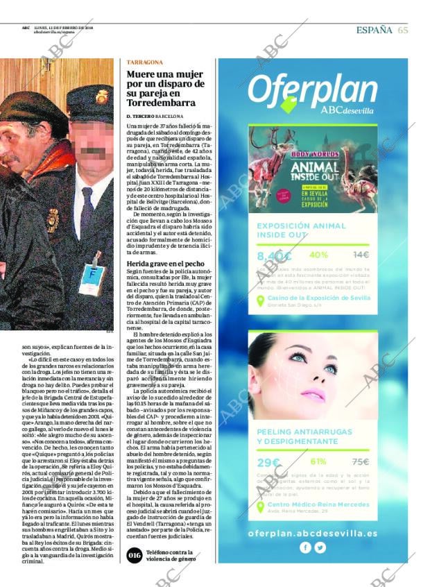 ABC SEVILLA 12-02-2018 página 65