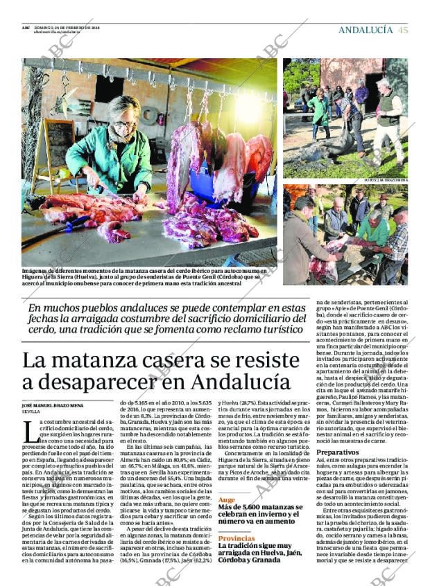 ABC SEVILLA 25-02-2018 página 45