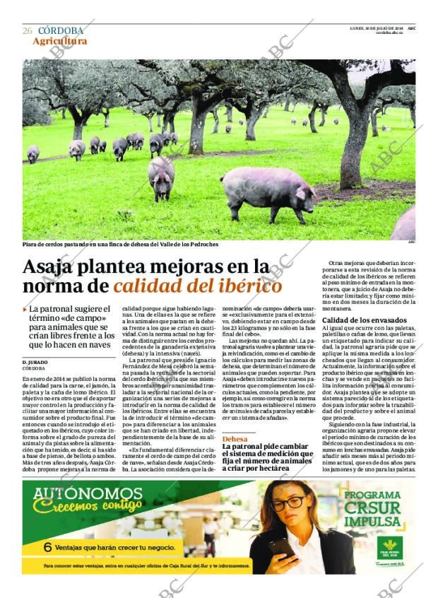 ABC CORDOBA 30-07-2018 página 26