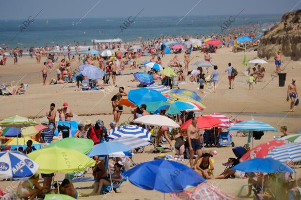 Playa de la ballena en costa Ballena