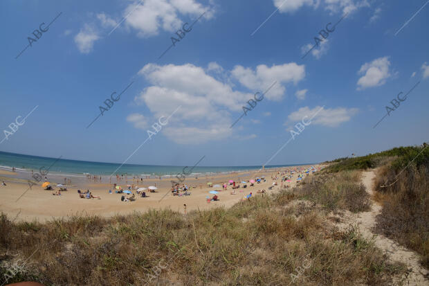 Playa de la ballena en costa Ballena