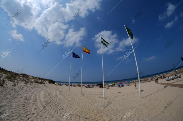 Playa de la ballena en costa Ballena