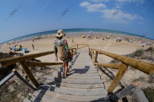 Playa de la ballena en costa Ballena