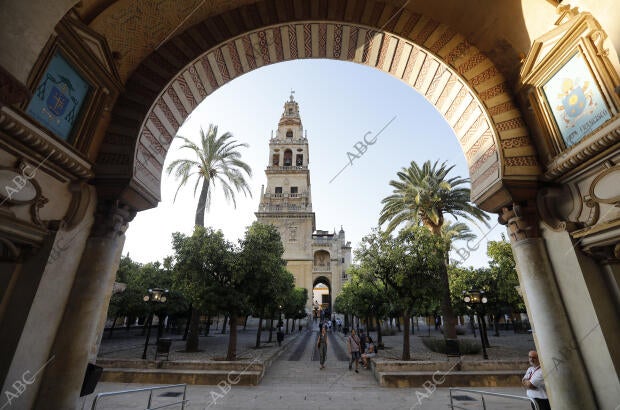 el patio de los Naranjos de la mezquita Catedral