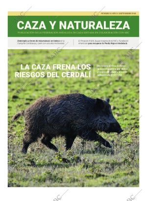 ABC SEVILLA 18-09-2018 página 45