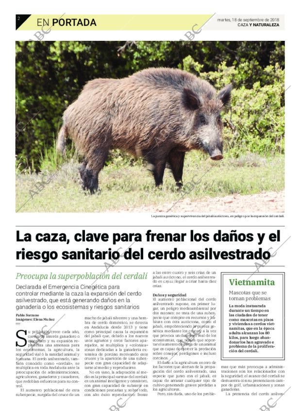 ABC SEVILLA 18-09-2018 página 46