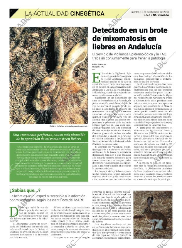 ABC SEVILLA 18-09-2018 página 50