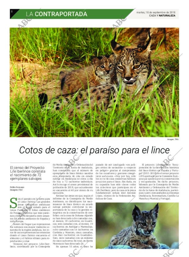 ABC SEVILLA 18-09-2018 página 52