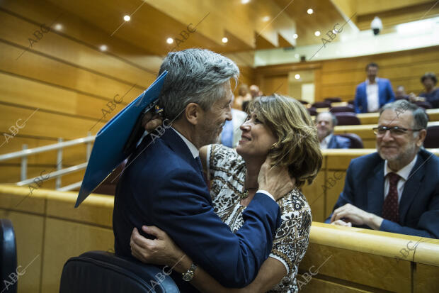 Sesión de control del Senado con Marlaska y Delgado