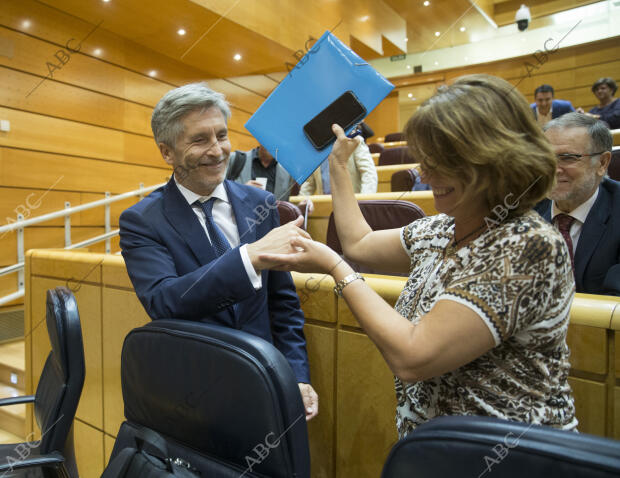 Sesión de control del Senado con Marlaska y Delgado