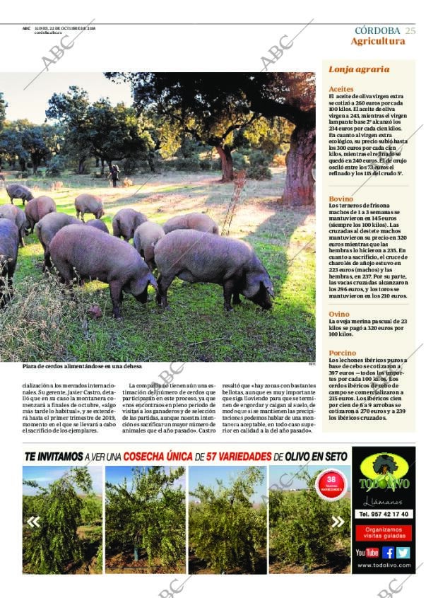 ABC CORDOBA 22-10-2018 página 25