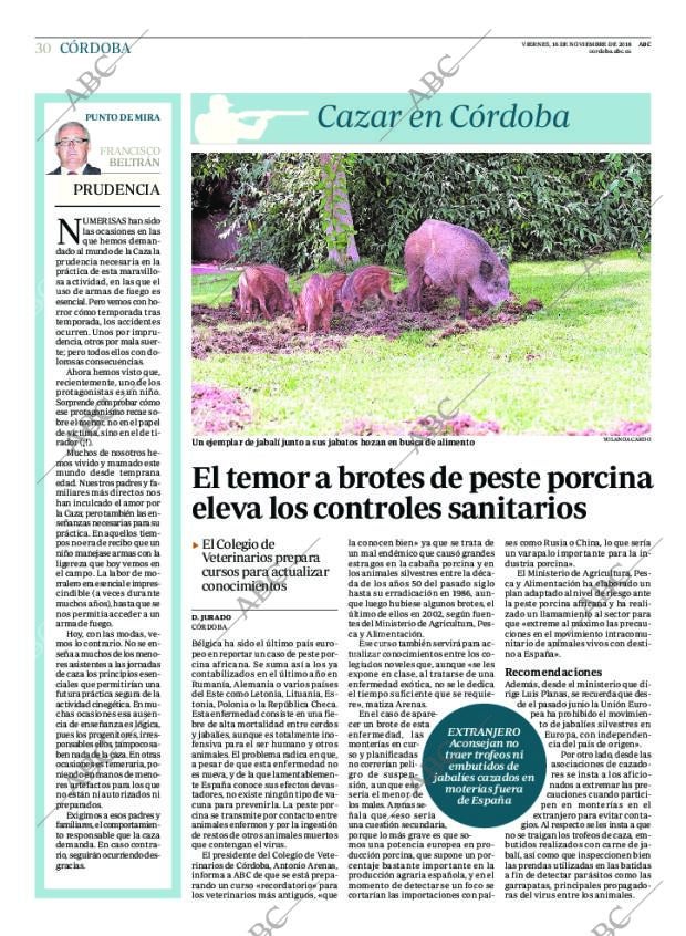 ABC CORDOBA 16-11-2018 página 30