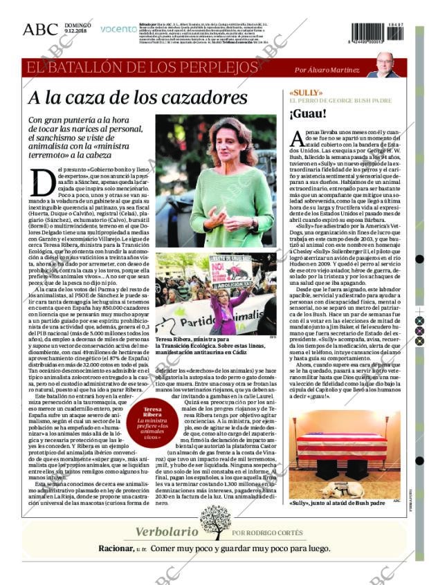 ABC SEVILLA 09-12-2018 página 104