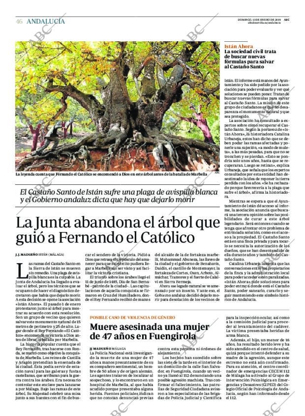 ABC CORDOBA 13-01-2019 página 46