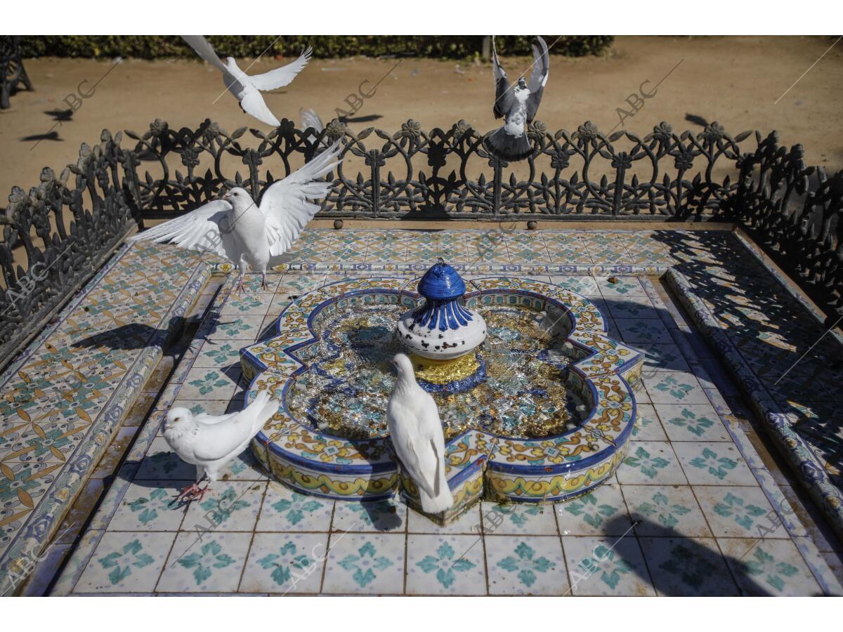 En la imagen, una fuente del parque de las Palomas en la Plaza de