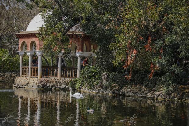 En la imagen, la isleta de los Patos en el estanque principal