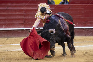 Feria de Fallas. En la Imagen, Paco Ureña