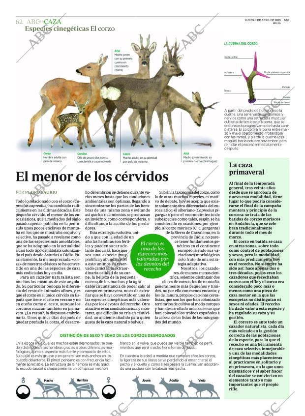 ABC MADRID 01-04-2019 página 62