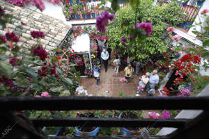 Festival de los patios de Córdoba. Ruta Santiago San Pedro. Patio de la calle...