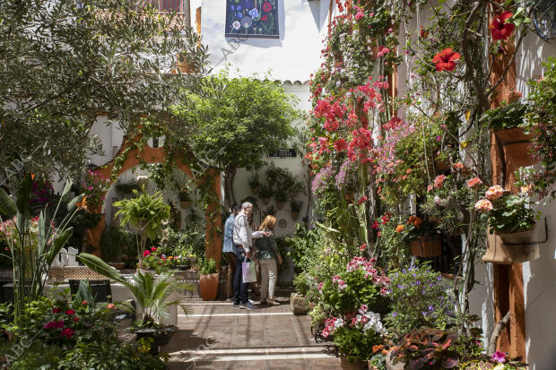 Patio de la calle Chaparro, 3