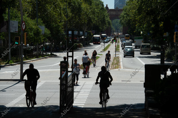 Coches, bicicletas, peatones y autobuses