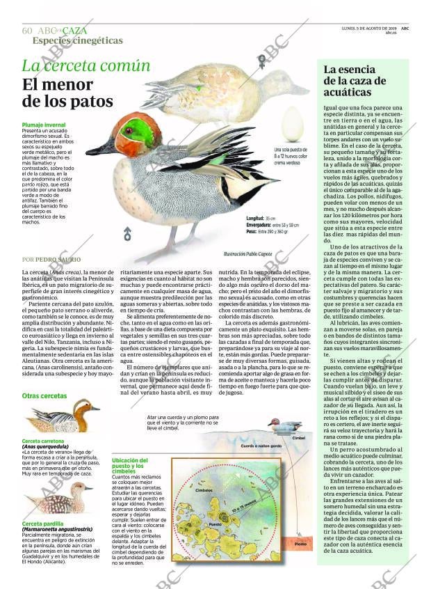 ABC CORDOBA 05-08-2019 página 60