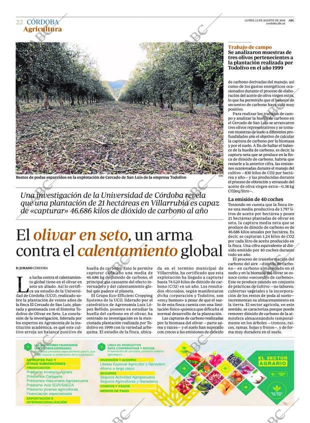 ABC CORDOBA 12-08-2019 página 22
