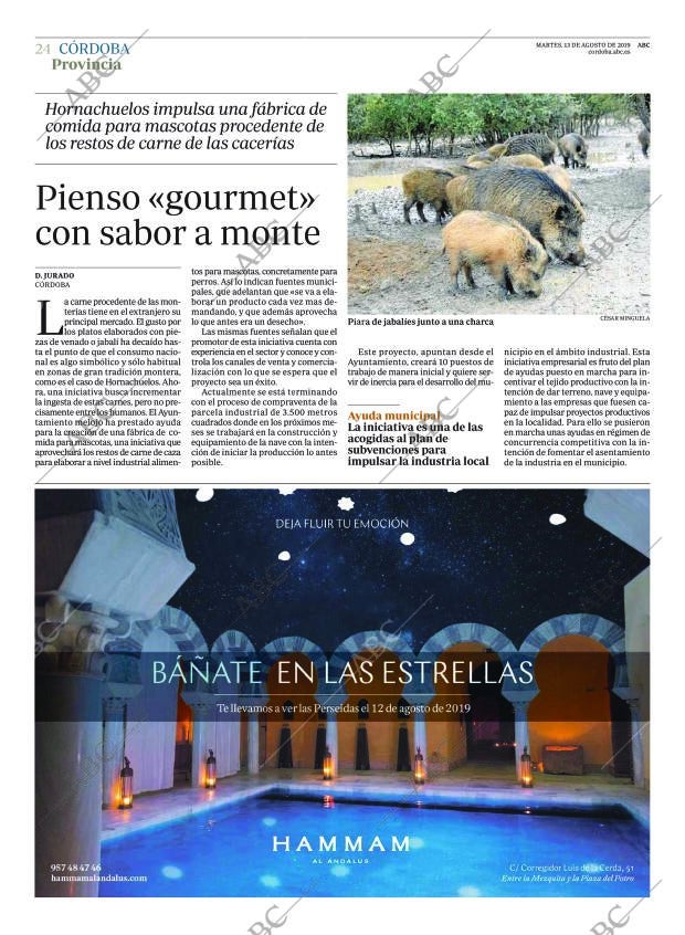 ABC CORDOBA 13-08-2019 página 24