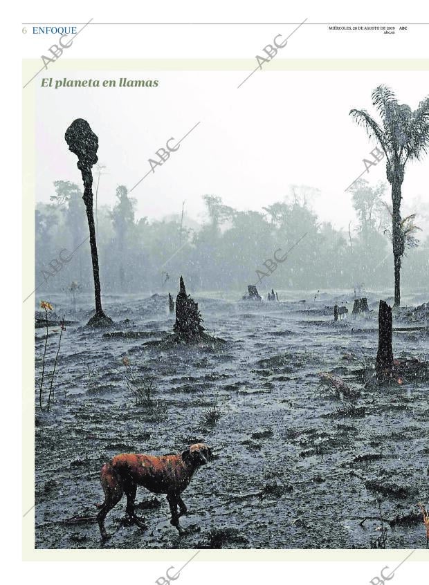 ABC CORDOBA 28-08-2019 página 6