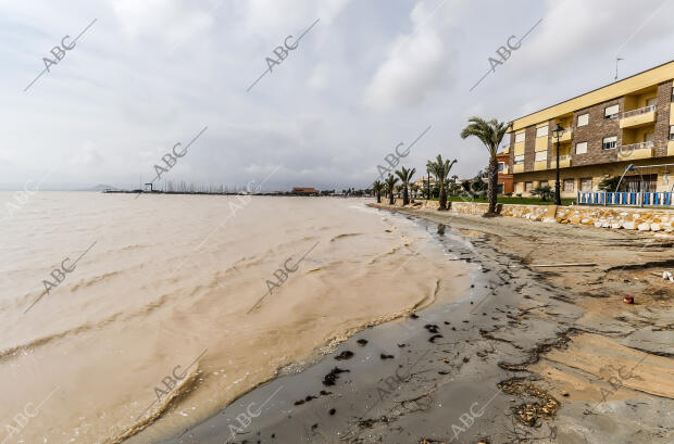 Destrozos provocadosLos Alcázares (Murcia) 20/09/2019