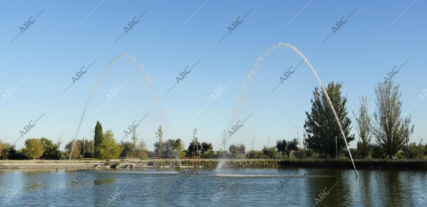 Estanque del parque Juan Carlos I