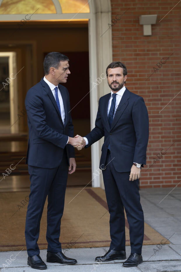 Pedro Sánchez presidente del Gobierno en funciones, se reúne con el líder de...