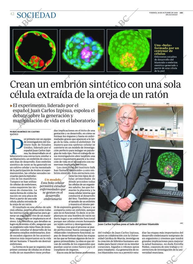 ABC MADRID 18-10-2019 página 42