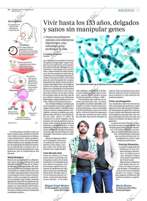 ABC MADRID 18-10-2019 página 43