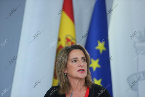 Rueda de prensa posterior a la reunión del Consejo de Ministros con la ministra...