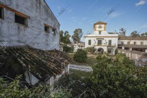 Reportaje del estado del cortijo de Gambogaz