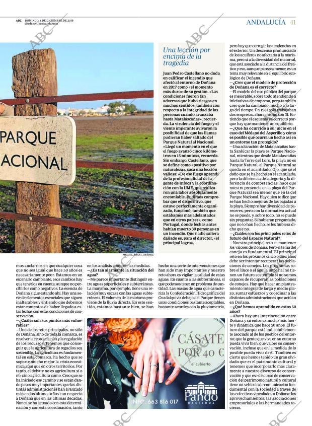 ABC SEVILLA 08-12-2019 página 41