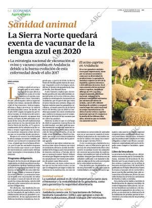 ABC SEVILLA 23-12-2019 página 64