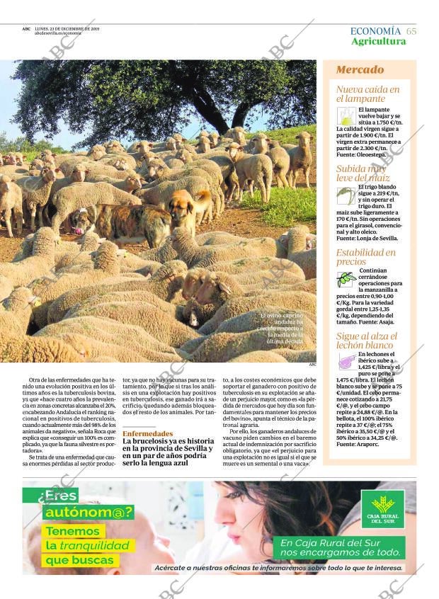 ABC SEVILLA 23-12-2019 página 65