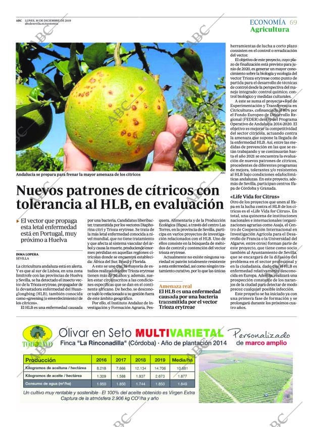 ABC SEVILLA 30-12-2019 página 69