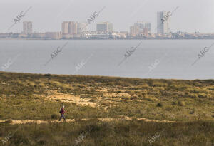 Agricultura en la manga del mar Menor