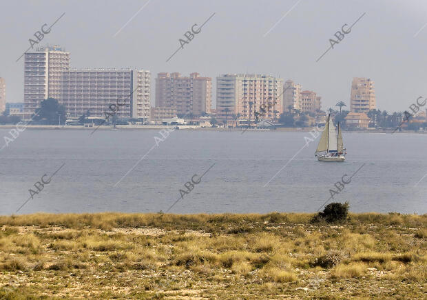 Agricultura en la manga del mar Menor