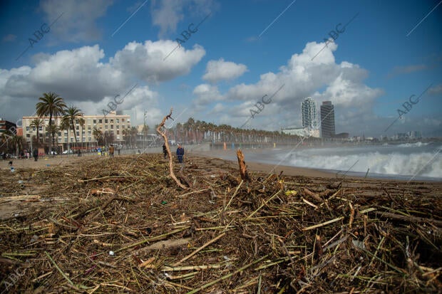 Estado como ha quedado la playa de la Barceloneta después del temporal Gloria