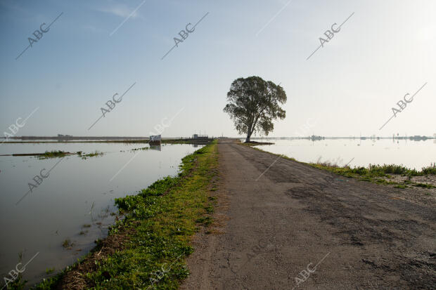 El delta del Ebro después del temporal Gloria