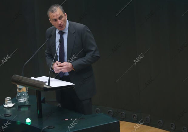 Pleno del Ayuntamiento de Madrid con Martínez Almeida, Begoña Villacís, Rita...