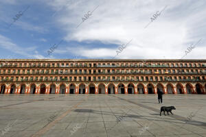 En la imagen, una persona pasea a su perro por la plaza de la Corredera