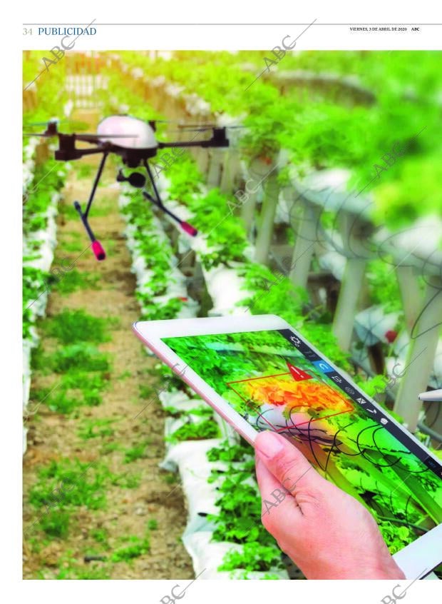 ABC CORDOBA 03-04-2020 página 34