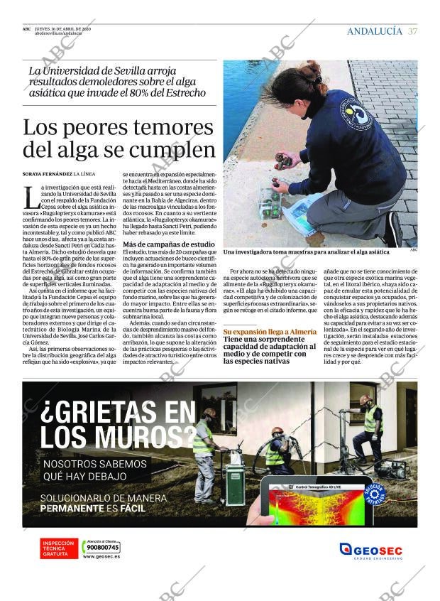 ABC SEVILLA 16-04-2020 página 37