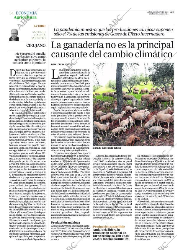 ABC SEVILLA 04-05-2020 página 54