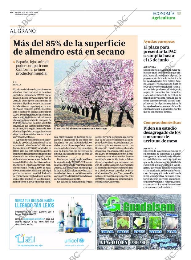 ABC SEVILLA 04-05-2020 página 55